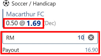 What is handicap 0.5 odds 1