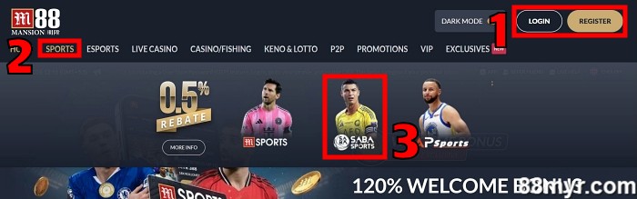 What is handicap 0.5 step 1