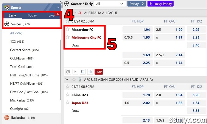 What is handicap 0.5 step 2