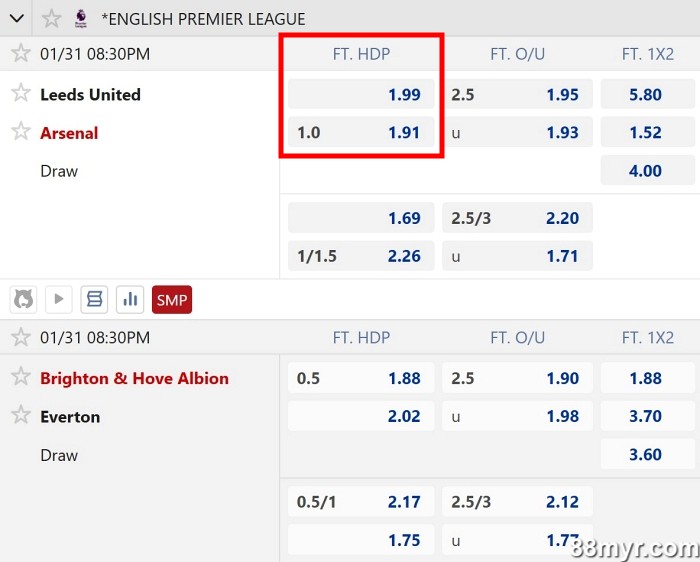 handicap 1 meaning explained with examples