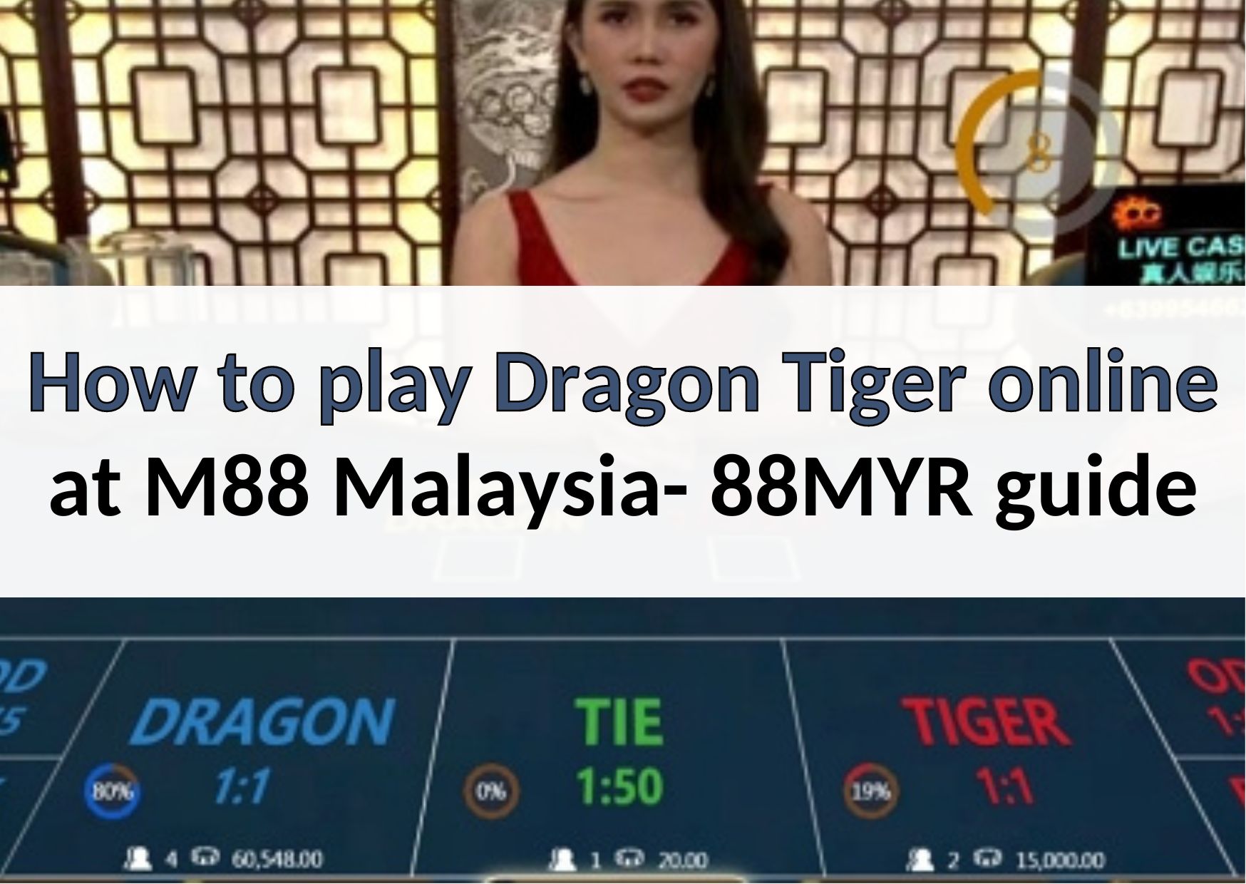 how to play dragon tiger online 1