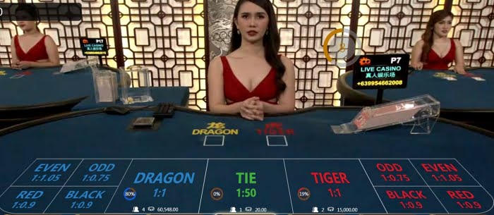 how to play dragon tiger online casino game