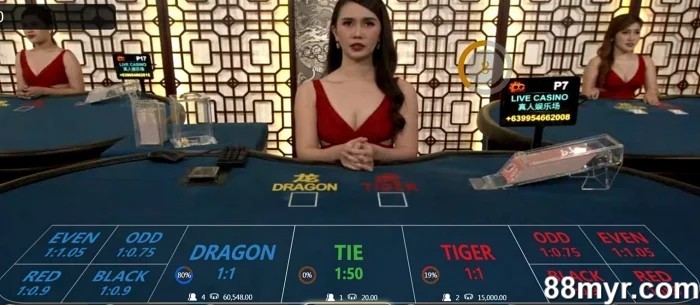 how to play dragon tiger online game rules explained