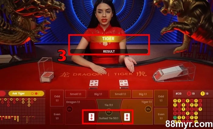 how to play dragon tiger online round 2
