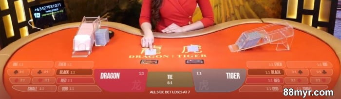 dragon tiger online casino tips and tricks to win daily earnings