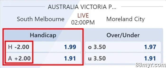 handicap 2 meaning in betting explained with examples