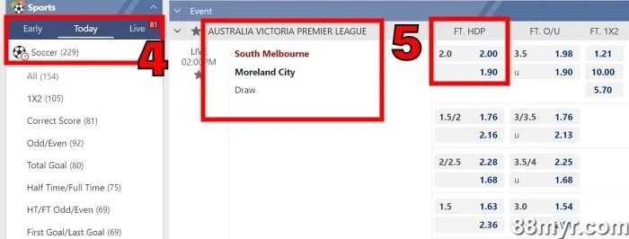 handicap 2 meaning in betting step 2