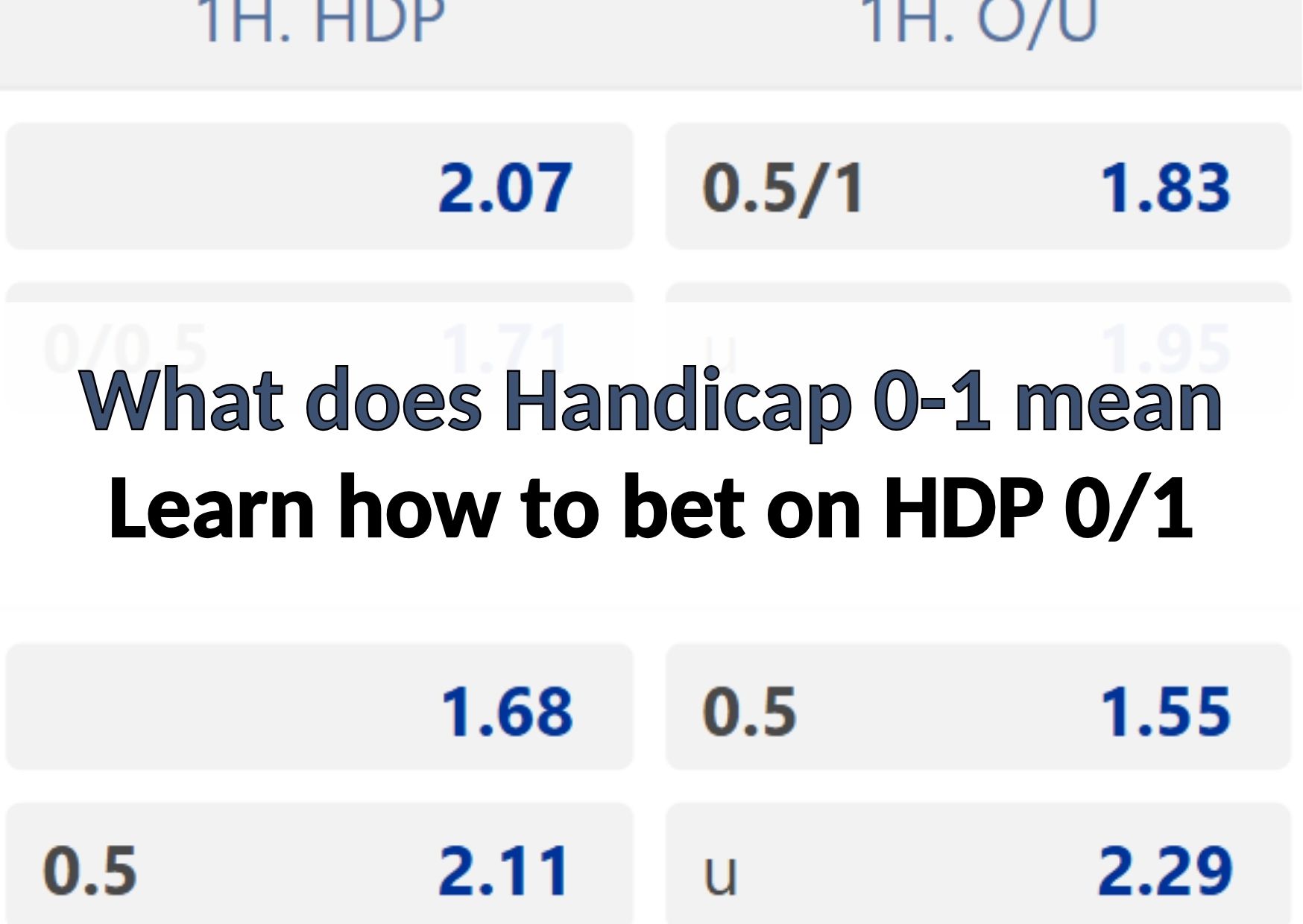 what does handicap 0-1 mean