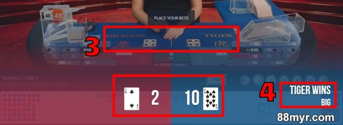 Dragon Tiger casino game rules with examples 2