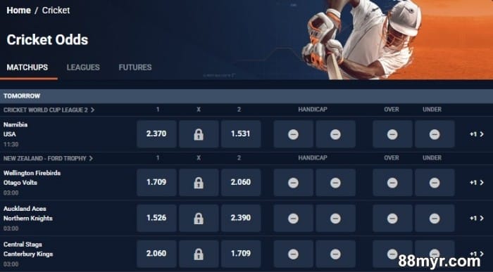 8 cricket betting strategies that work for newbies