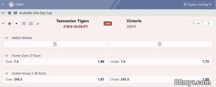 cricket betting strategies from 88myr for new players