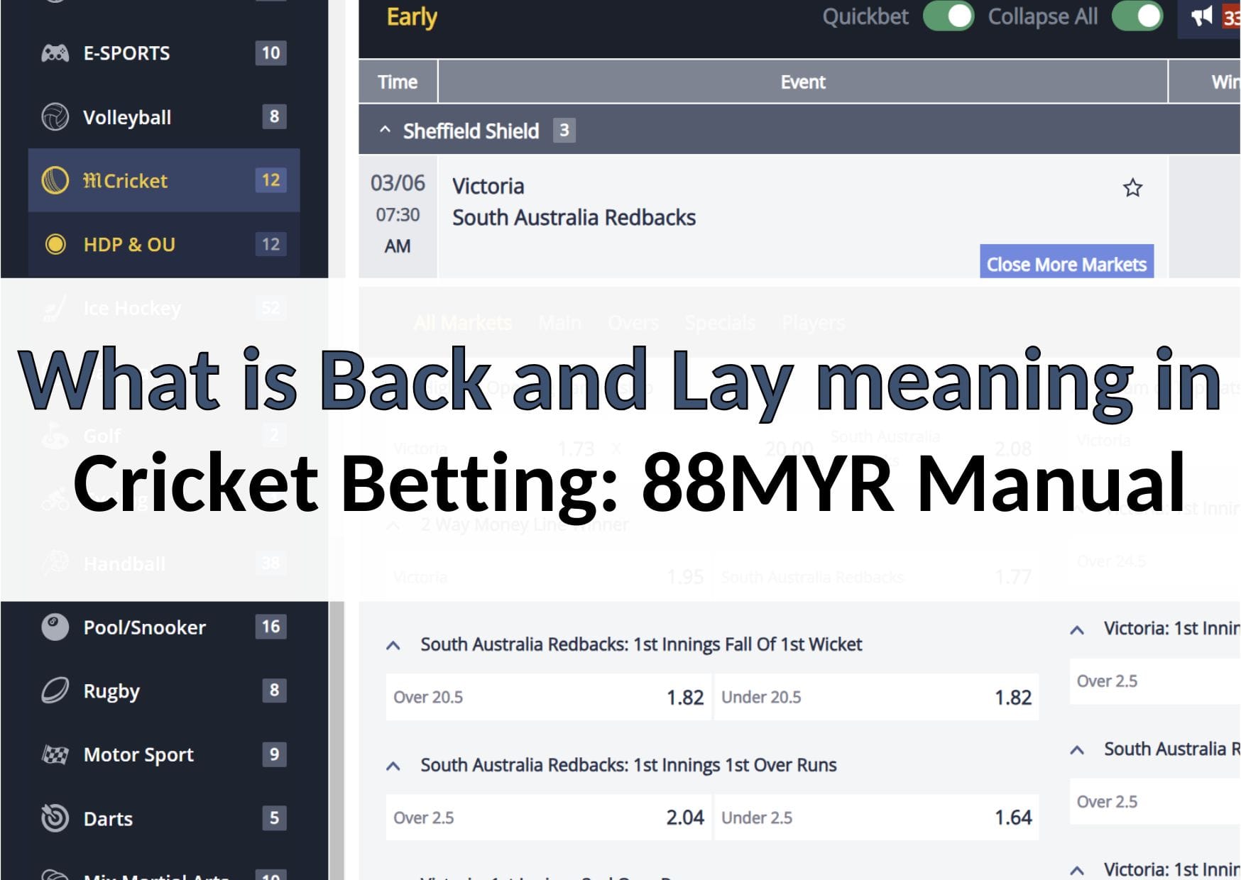 What is Back and Lay meaning in Cricket Betting 88MYR Manual