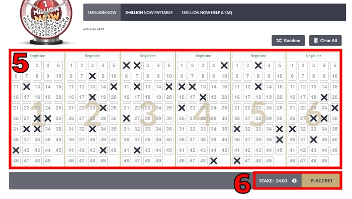 how to play lottery online bet on ticket step 3
