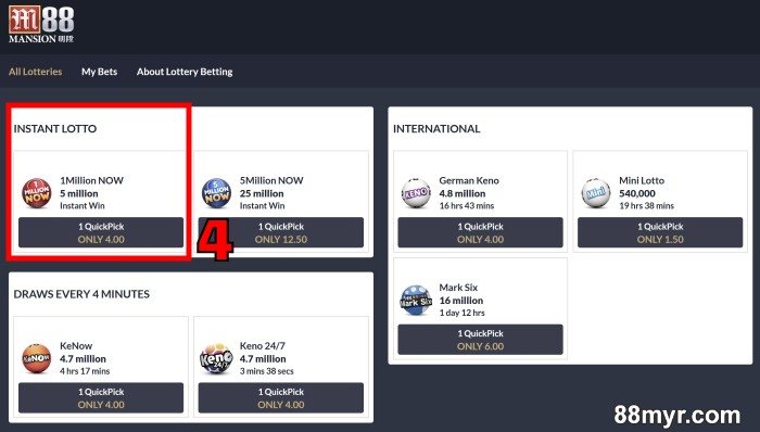 how to play lottery online tutorial step 2
