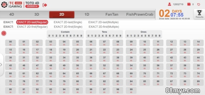 lottery formula to win big online