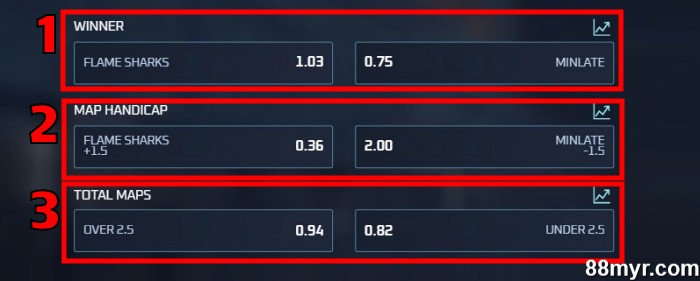 esports betting guide betting options explained