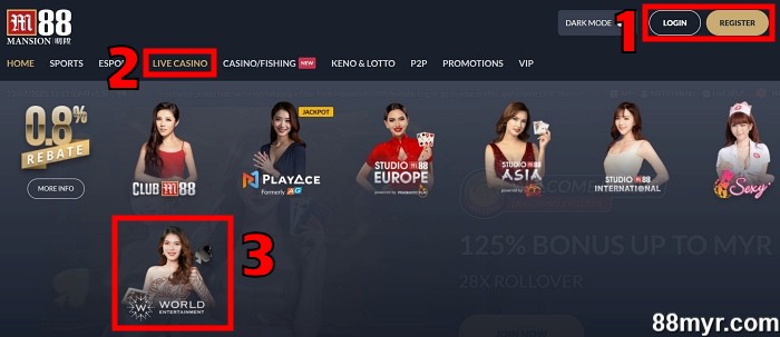 how to play fan tan step 1 login and select we provider