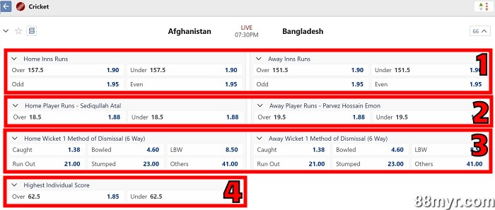 cricket betting markets advanced level bets