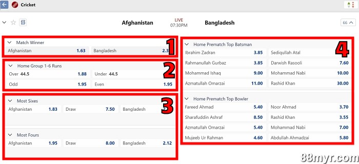 cricket betting markets beginner-level bets